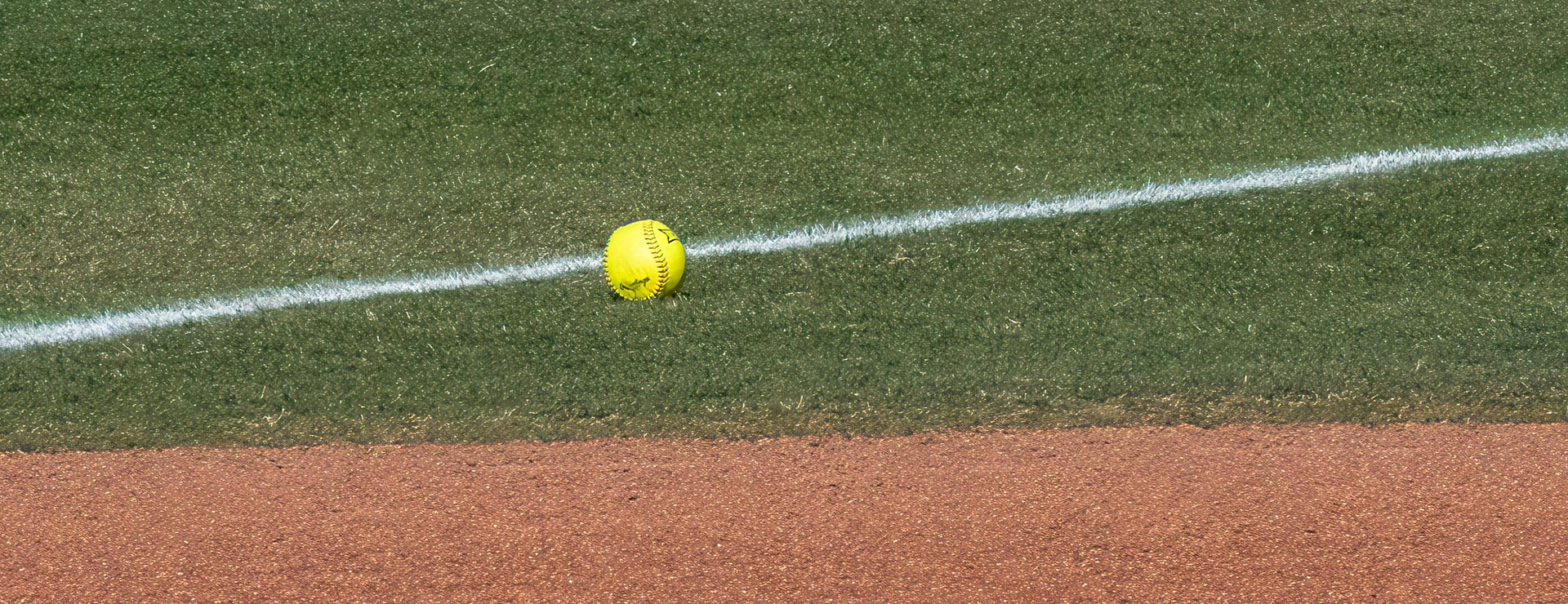 Baseball Gear Store -Baseball Gear Store pexels tim board 2538313 16163118